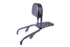 T-Rex Racing 2024 - 2025 Triumph Speed 400 Passenger Back Rest & Grab Bar Luggage Rack
