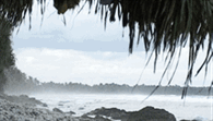 FILM: Tuvalu: Going Under