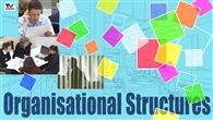 FILM: Organisational Structures: Introduction & Case Study