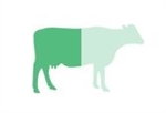 Half Cow (162 to 212 lbs)