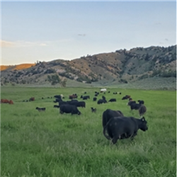 A la Carte Ranch Membership