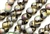 9MM X 8MM Mushroom Button Czech Beads / Etched California Green
