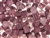 Purple Matte Finish Czech Bead / Cube 6MM X 7MM