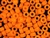 Czech Crow Beads / 6MM X 9MM Orange
