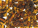 Tortoise Czech Beads / Flat Oval 15MM X11MM