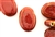 Red Earth Tone Porcelain Beads / Flat Oval Drop
