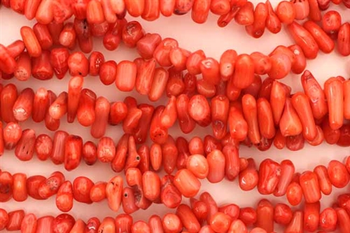 Bead, Coral, Branch, 7MM