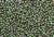 Seed Bead, 10/0, Vintage, Czechoslovakian, Green, Dark Green Lined