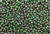 Seed Bead, 9/0, Vintage, Czechoslovakian, Green, Dark Green Lined