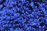 Sequin, 6MM, Cupped, Round, Vintage, 1MM Center Hole, Royal Blue