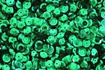 Sequin, 6MM, Cupped, Round, Vintage, 1MM Center Hole, Kelly Green