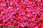 Sequin, Round, 5MM, Cupped, Vintage, 1MM Center Hole, Pink Fluorescent