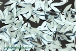 Sequin, Wing, 13MM, Vintage, Ice Blue