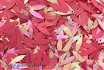 Sequin, Vintage, 13MM, Wing, Chalk Red Iris