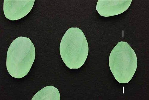 Bead, German Acrylic, Vintage, 20MM, Matte Finish, Oval Twist, Green