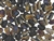 Czech Tulip Beads / 8MM Jet Bronze Iris