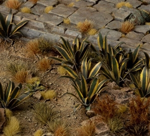 Gamer's Grass - Agave Laser Plants