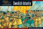 Pike and Shotte - Thirty Years War Swedish Regiment