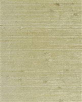 Pale Celadon green  natural grasscloth