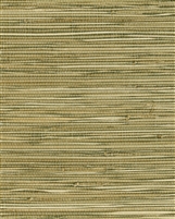 Medium Khaki celedon green blend natural grasscloth