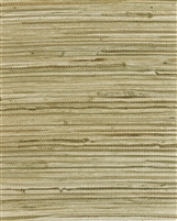 Pale straw blend natural grasscloth