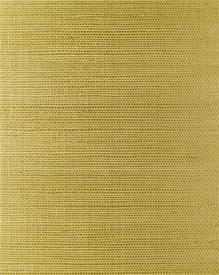 Pale Green Sisal Grasscloth Page 14