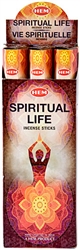 Wholesale Hem Spiritual Life Incense 20 Stick Packs (6/Box)
