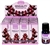 Wholesale Tulasi Sensuality Fragrance Oil 10 ML - 1/3 FL. OZ. (12/Box).