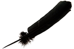Wholesale Turkey Dyed Black Feather 11-13"L
