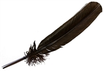 Wholesale Turkey Dyed Brown Feather 11-13"L