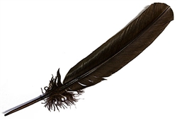 Wholesale Turkey Dyed Brown Feather 11-13"L