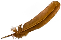 Wholesale Turkey Dyed Cinnamon Feather 11-13"L