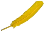 Wholesale Turkey Dyed Gold Feather 11-13"L
