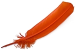 Wholesale Turkey Dyed Hot Orange Feather 11-13"L