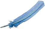 Wholesale Turkey Dyed Light Blue Feather 11-13"L