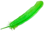 Wholesale Turkey Dyed Lime Feather 11-13"L