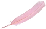 Wholesale Turkey Dyed Pink Feather 11-13"L