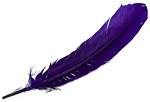 Wholesale Turkey Dyed Purple Feather 11-13"L
