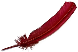 Wholesale Turkey Dyed Red Feather 11-13"L