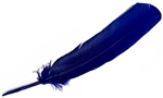 Wholesale Turkey Dyed Royal Blue Feather 11-13"L