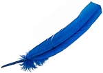 Wholesale Turkey Dyed Turquoise Feather 11-13"L