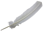 Wholesale Turkey Bleached White Feather 11-13"L