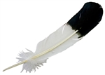 Wholesale Turkey Black Eagle Tipped Feather 11-13"L