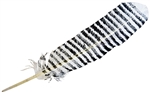 Wholesale Turkey Feather Dyed White Banded 11-13"L