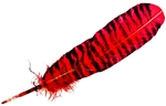 Wholesale Turkey Feather Dyed Red Banded 11-13"L