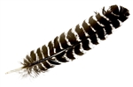 Wholesale Turkey Feather 10-12"L