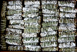 Wholesale White Sage & Juniper Smudge 4"L (Mini) (Pack of 25)