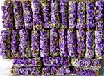Wholesale White Sage & Purple Sinuata Flowers 5"L (Small) (Pack of 25)