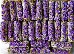 Wholesale White Sage & Purple Sinuata Flowers 5"L (Small) (Pack of 50)