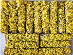 Wholesale White Sage & Yellow Sinuata Flowers 9"L (Large) (Pack of 50)